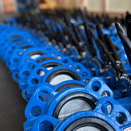 FKM Seat Butterfly Valve